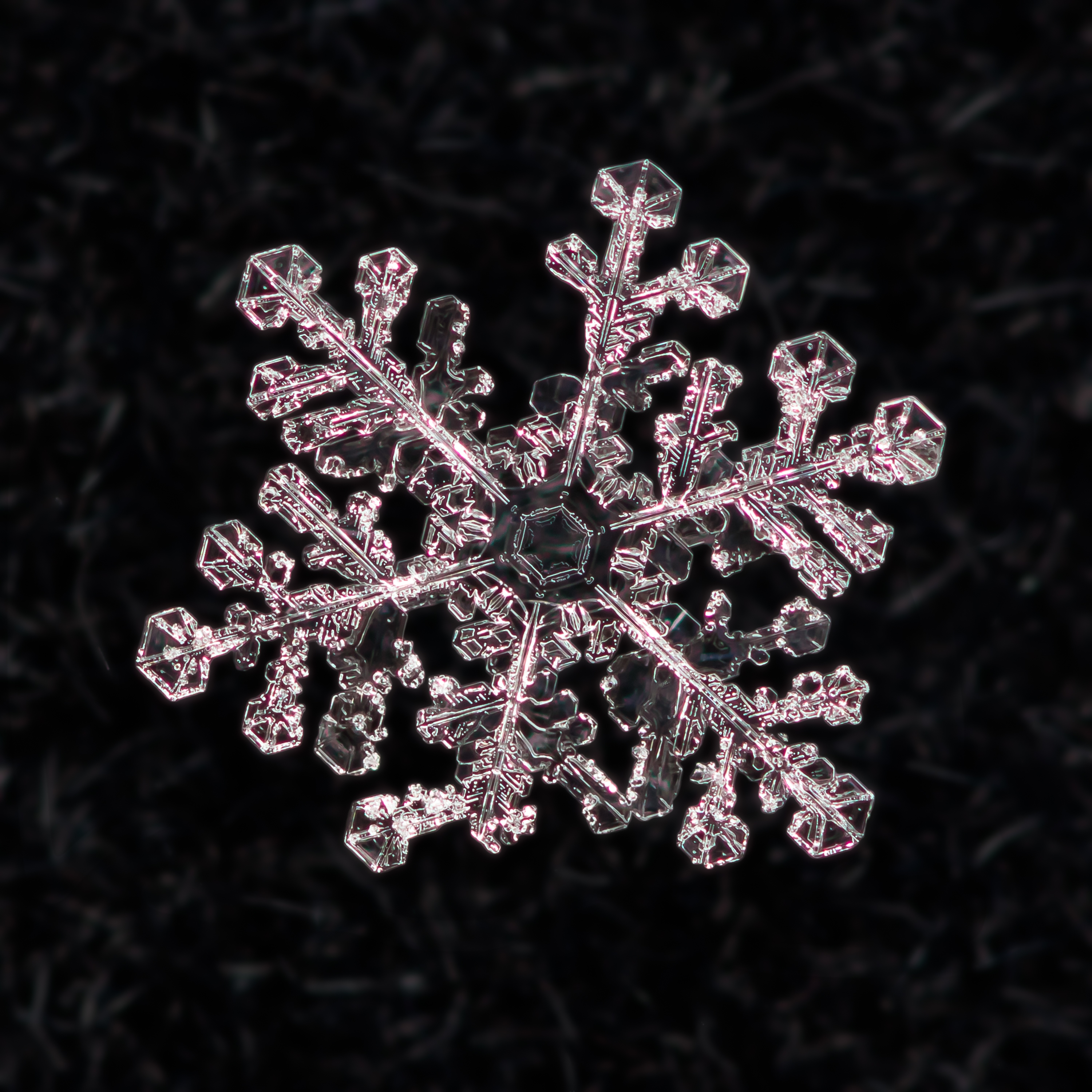 Snowflake